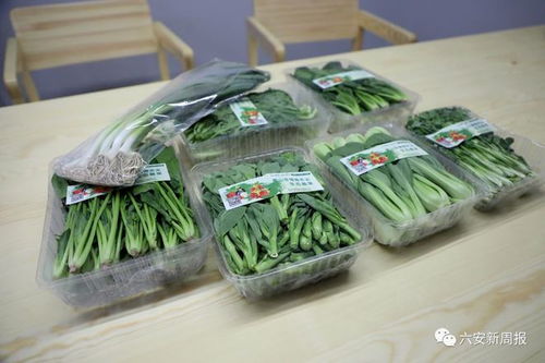 网上下单，新鲜到家——六安初级农产品网购成风尚
