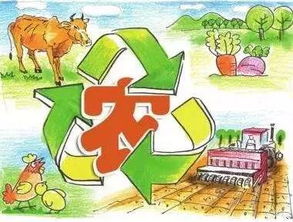 打造区域公共品牌 初级农产品兴农强农富农的核心路径