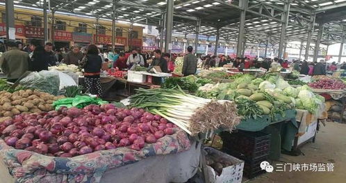 夯实基础抓快检 七项措施保食安——三门峡初级农产品质量安全提升路径