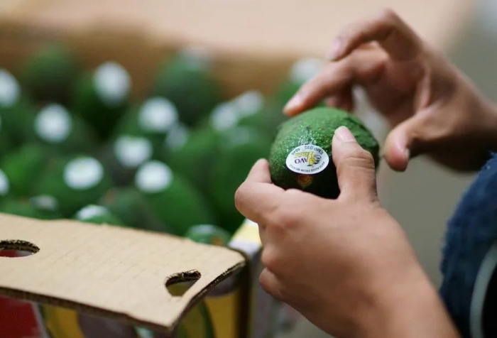 通胀风暴下的拉美农业 初级农产品能否避免“失去的十年”重演？