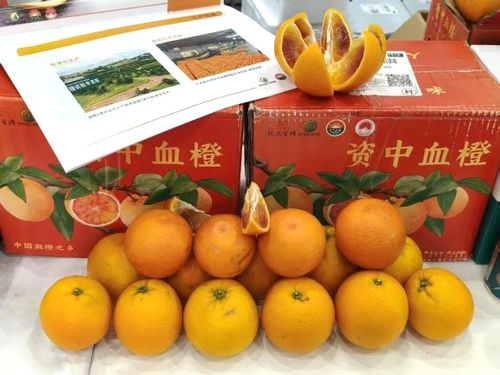 资中血橙闪耀2025北京国际农产品博览会，斩获金奖