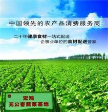 南京宏润鸿 深耕初级农产品领域，守护餐桌源头健康