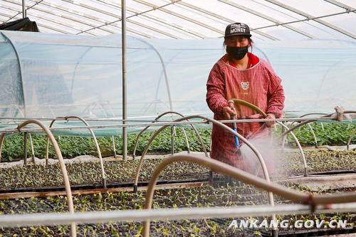 我市多措并举稳春耕 筑牢农产品供给“基本盘”
