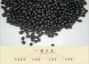 3万返乡创业，一块地做火2个产业，他在冰葡萄田里让黑豆长出4000万黄金