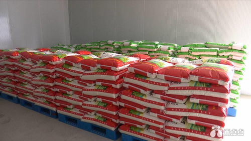 链出好商品——嘉兴农产品冷链物流带动农民增收